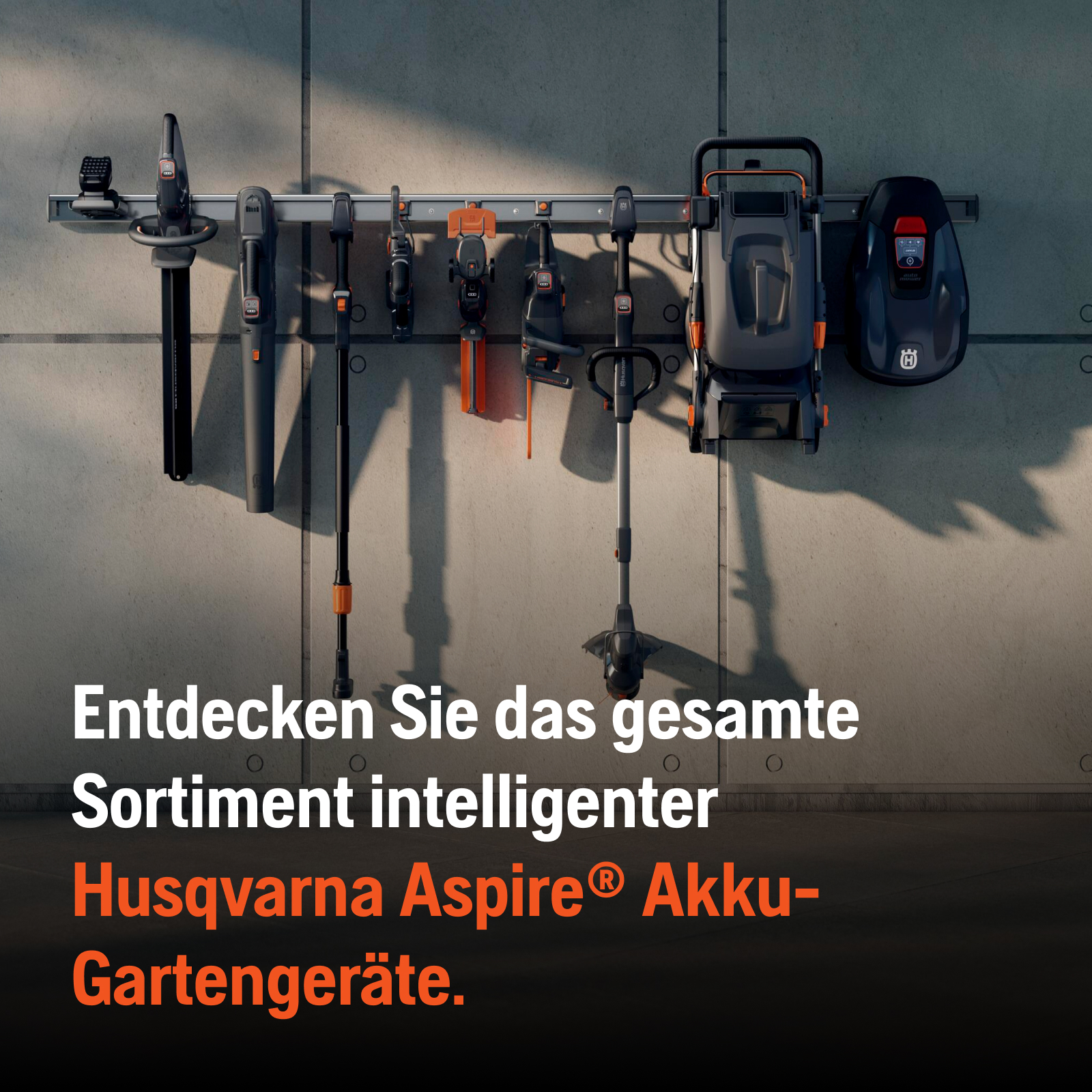 Bild 5 von 10