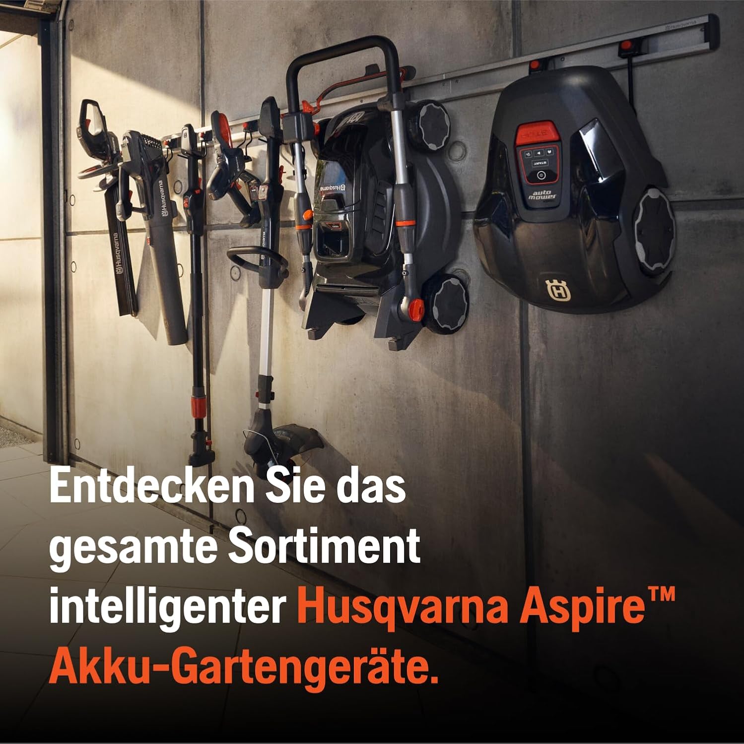 Bild 8 von 13